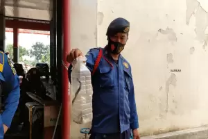 Teror 18 Anak Ular Kobra di Rumah Warga Citeureup Bogor