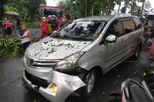 Lagi, 2 Mobil Ringsek Tertimpa Pohon Tumbang di Bogor