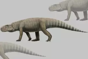 Hidup Sezaman dengan Dinosaurus, Buaya Purba Ini Punya Gigi Setajam Pisau
