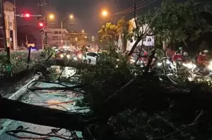 Anies Imbau Warga Jakarta Waspadai Angin Kencang