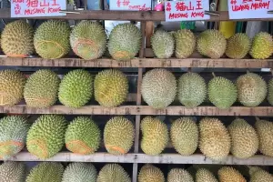 3 Negara Penghasil Durian Terbesar di Dunia, Nomor 2 Juaranya