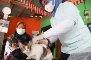 Pertahankan Jakarta Bebas Rabies, 1.812 Hewan Telah Divaksinasi di Jakbar