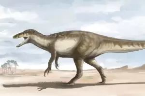 Megaraptor Terbesar dan Terbuas Ditemukan di Argentina
