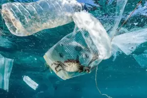 80 Persen Sampah Plastik Laut Bersumber dari Daratan
