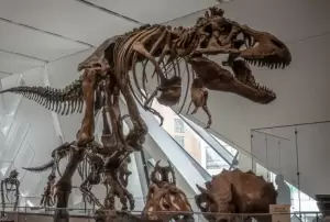 Inilah Meraxes, Dinosaurus Mirip T-Rex yang Ditemukan di Argentina
