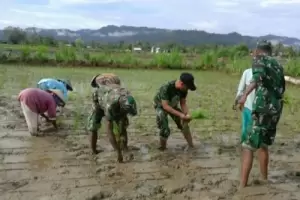 Pertanian Jadi Penopang Ekonomi, Panglima TNI Siap Arahkan Tentara untuk Bertani