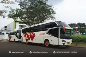 6 PO Bus Legendaris Jawa Timur, yang Masih Eksis Hingga Sekarang