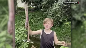 Bocah 9 Tahun di Selandia Baru Temukan Cacing Tanah Raksasa di Halaman Rumahnya