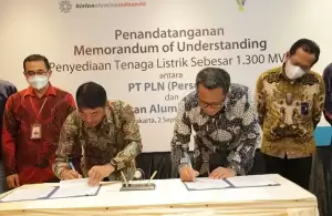 Dukung Sektor Pertambangan, PLN Akan Suplai Listrik hingga 2050 untuk PT Bintan Alumina Indonesia
