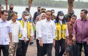 Jelang KTT G20, Jokowi Tinjau Kawasan Mangrove di Bali