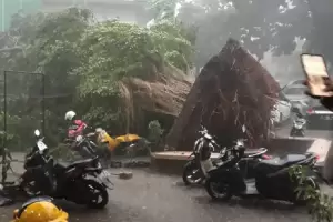 Hujan Angin, Tanah Longsor, dan Pohon Tumbang Landa Bogor