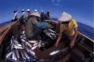 Kawasan Arafura dan Laut Timor Dorong Ekonomi Masyarakat Pesisir