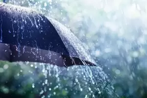 7 Tips Menjaga Daya Tahan Tubuh agar Terhindar dari Penyakit di Musim Hujan