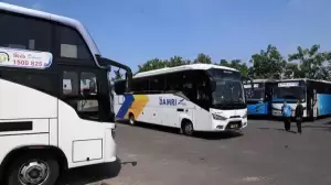 5 PO Bus dengan Armada Terbanyak di Indonesia, Nomor Terakhir sampai 5 Ribu Unit