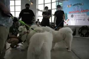 Isi Libur Sekolah, Komunitas Pecinta Anjing Gelar Event di Mal