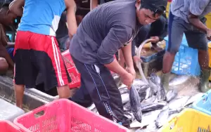 FishLog Perluas Jaringan di Industri Perikanan Indonesia