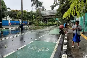 Diterpa Hujan dan Angin Kencang, Pohon di Masjid Cut Meutia Tumbang
