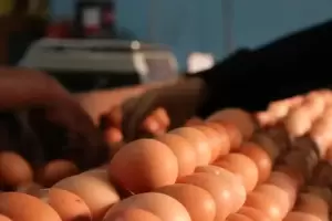 Cek Harga Bahan Pokok Hari Ini, Beras hingga Telur Ayam Turun