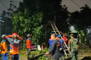 Serpong Diterjang Hujan Angin, Pohon Tumbang Tutup Akses Jalan Warga