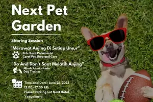 Bawa Anabul Anda ke Next Pet Garden Next Hotel Yogyakarta dan Nikmati Keseruannya