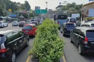 Puncak Bogor Padat, Antrean Kendaraan dari GT Ciawi ke Gadog Capai 3 Km