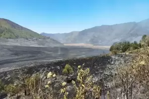 Dampak Kebakaran di Bukit Teletubbies Bromo, Gunung Slamet dan Prau Ikut Ditutup