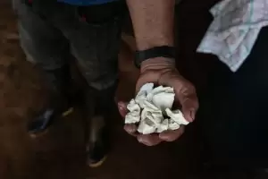 Salip Ekspor Minyak, Kokain Bakal Jadi Sumber Cuan Kolombia