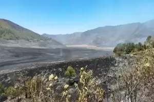 Kerugian Akibat Kebakaran Gunung Bromo Capai Rp89,76 Miliar
