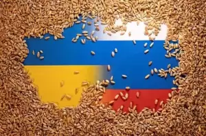 Rusia Desak Eropa Beli Gandum Ukraina Lalu Dikirim ke Afrika