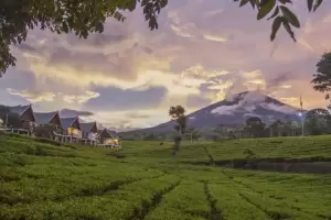 10 Tempat Wisata Dingin di Pulau Sumatera, Cocok untuk Berlibur dan Healing
