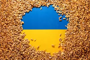 Efek Perang, Sektor Pangan Ukraina Bakal Telan Kerugian Rp50,3 Triliun