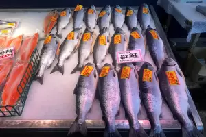 Melawan Larangan Impor China, AS Beli Makanan Laut dari Jepang