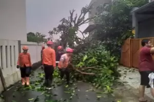Sore Tadi Tercatat 22 Kejadian Bencana di Kota Bogor, Paling Banyak Pohon Tumbang