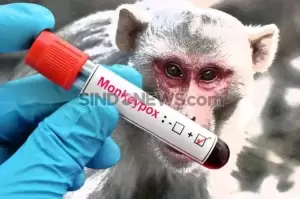 Hari Ini Vaksinasi Cacar Monyet Dosis Kedua di Jakarta Dimulai