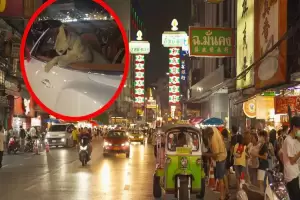 Pengemudi Bentley Bawa Singa di Jok Belakang Gemparkan Thailand