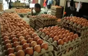 Bukan Hoaks, Telur Harganya Edan Tembus Rp30.000 per Kg