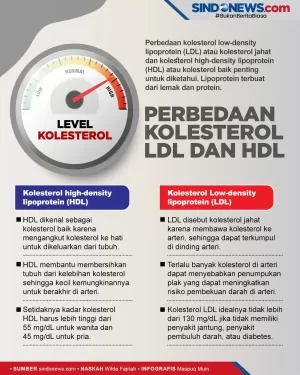 Perlu Diketahui, Ini Perbedaan Kolesterol LDL dan HDL