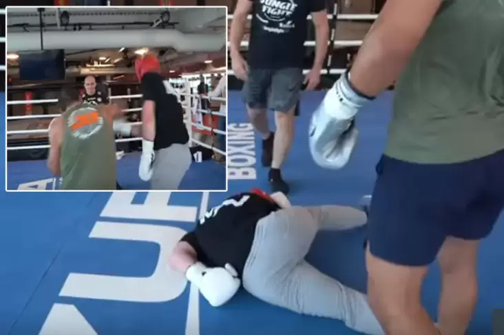 Logan Paul Dipukul KO Petarung UFC yang Merusak Reputasinya